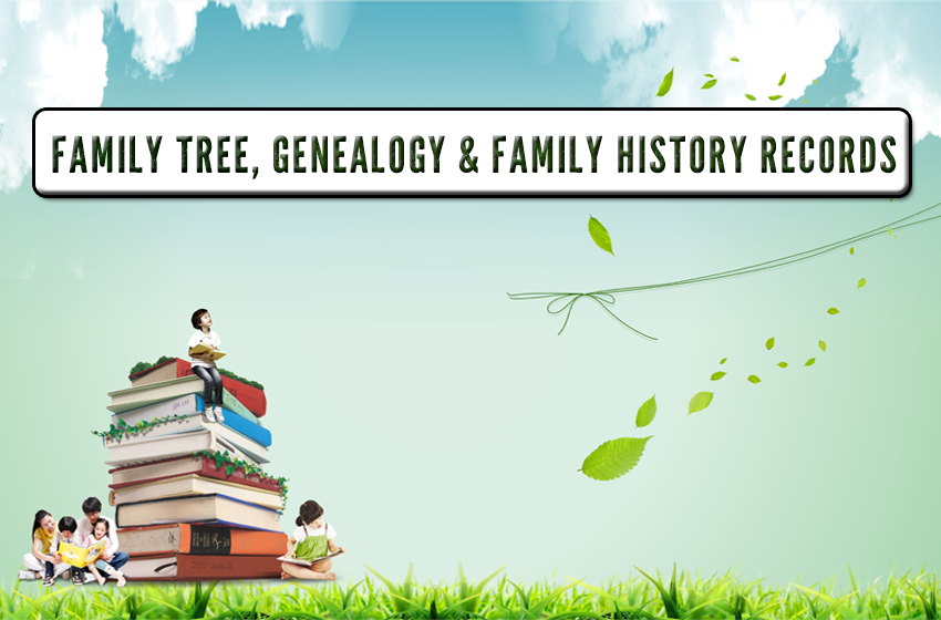  Ancestry review – Does it live up to its popularity?