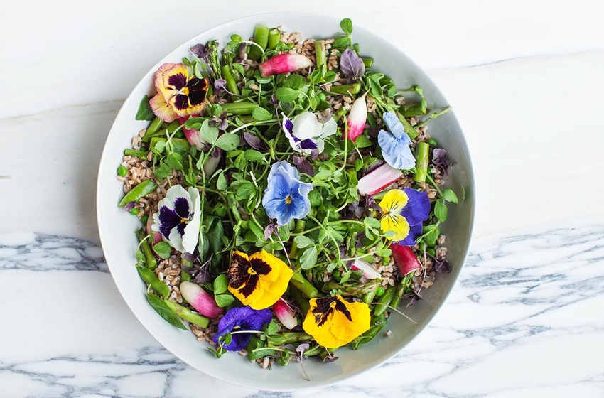  Sakara Life Review: What It’s Really Like To Eat It For 5 Days
